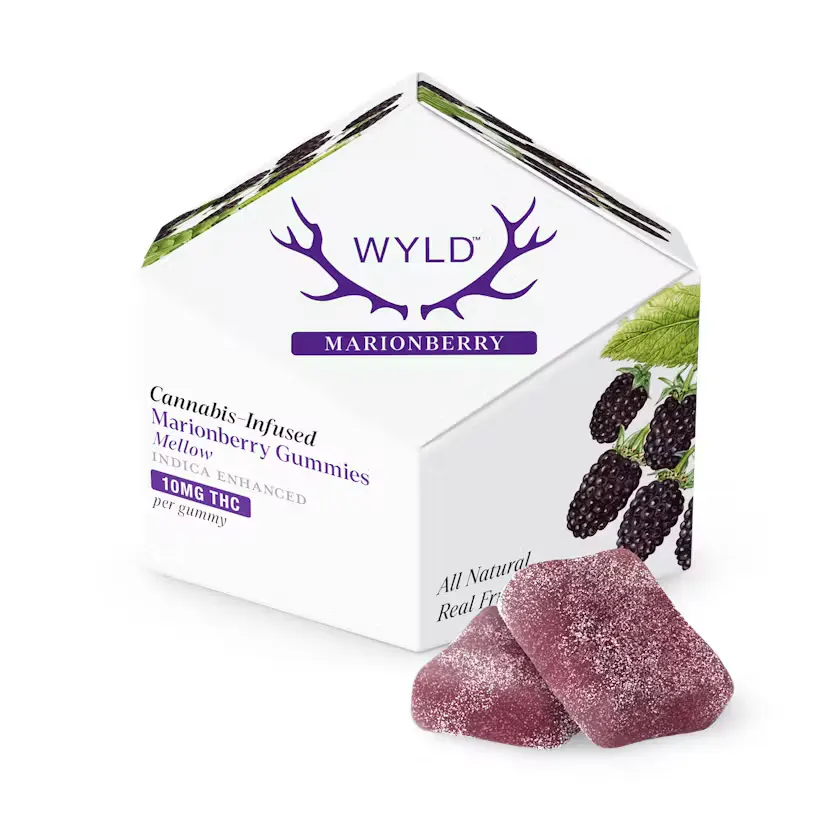Kiva Confections Dark Chocolate Bar — edibles